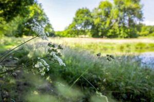 Gestion durables et entretien des espaces verts pour la SAUR par Yvonnick Boutier, Côtes d'Armor