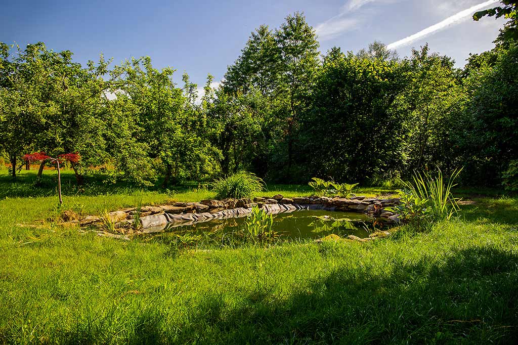 création d'un bassin naturel - réalisation Yvonnick Boutier, Merléac